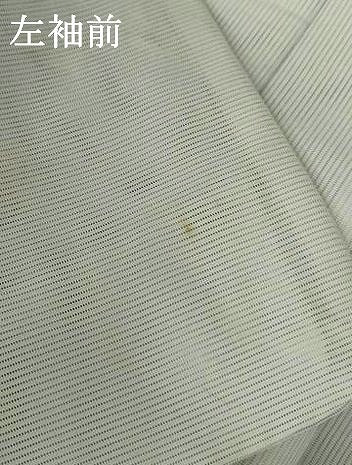 平和屋着物＊夏物 訪問着 絽 花蝶文 暈し染め 洗える着物 AABG9198jd