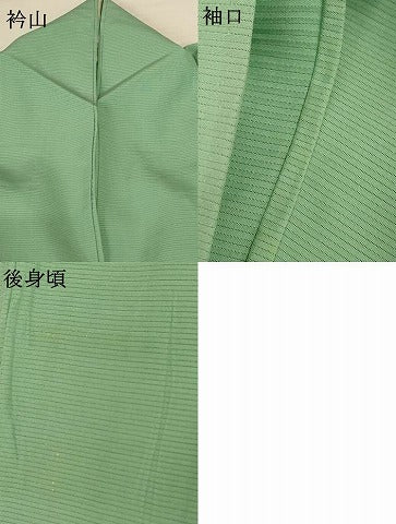 平和屋着物＊夏物 無地絵羽訪問着 絽 刺繍 地紙草花文 薄萌葱色 正絹 逸品 AABG9208jd