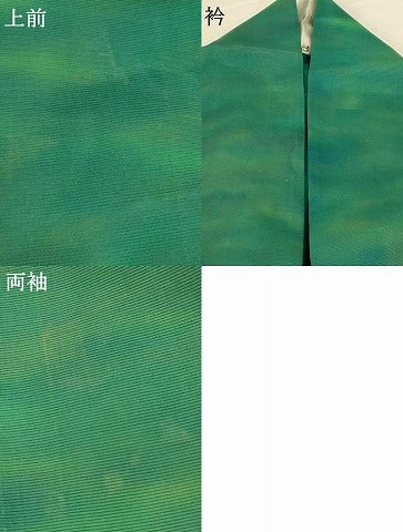 平和屋着物＊夏物 小紋 絽 霞文 暈し染め 正絹 逸品 AABG9210jd