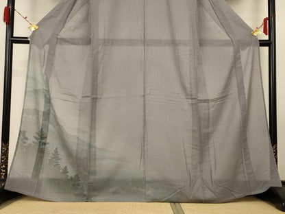 平和屋着物＊夏物 訪問着 紗 手描き 風景文 正絹 逸品 未使用 AABG9214jd