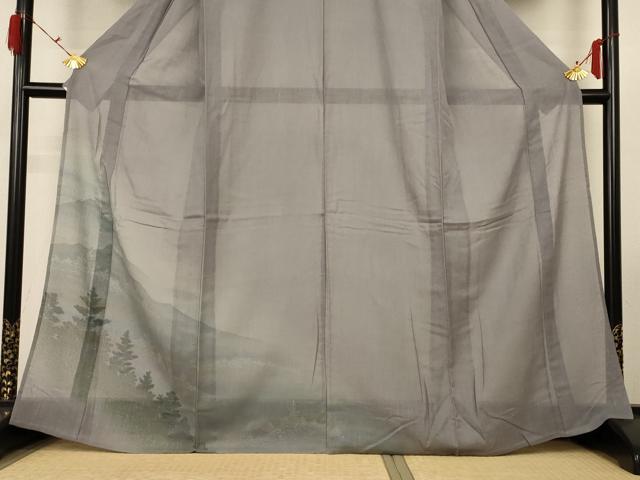 平和屋着物＊夏物 訪問着 紗 手描き 風景文 正絹 逸品 未使用 AABG9214jd