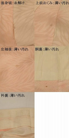 平和屋着物■長襦袢 袷 花地紋 暈し染め 正絹 逸品 AABG9342st