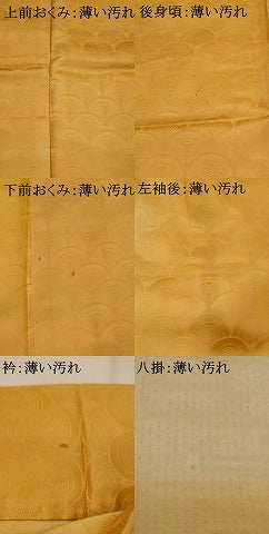 平和屋着物■上質な小紋 青海波地紋 暈し染め 正絹 逸品 AABG9397st