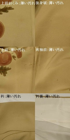 平和屋着物■訪問着 草花文 金彩 正絹 逸品 AABG9426st