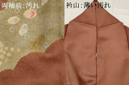 平和屋着物■訪問着 刺繍 草花文 金糸 金銀彩 正絹 逸品 AABG9461st