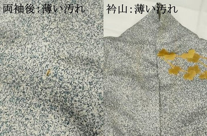 平和屋着物■訪問着 草花文 金彩 正絹 逸品 AABG9477st