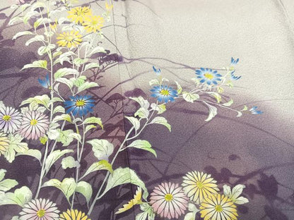 平和屋着物●訪問着　手描き　草花文　暈し染め　正絹　逸品　AABG9558ph