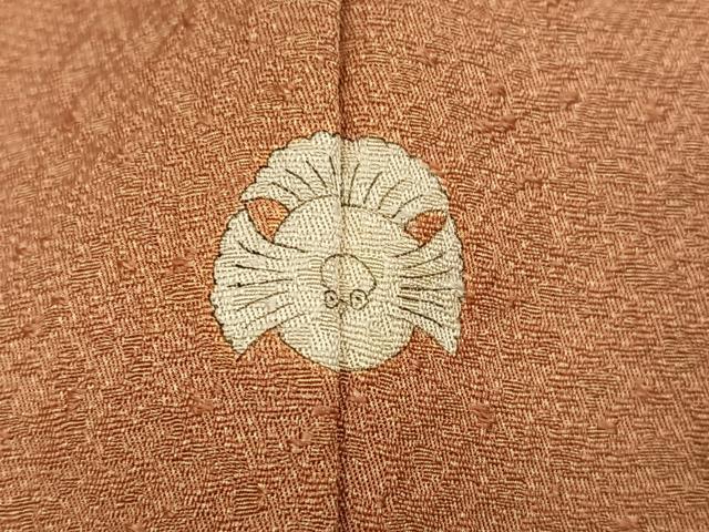 平和屋着物●本草木染作家　圓啓　江戸小紋　極小鮫小紋柄　正絹　逸品　AABG9562ph