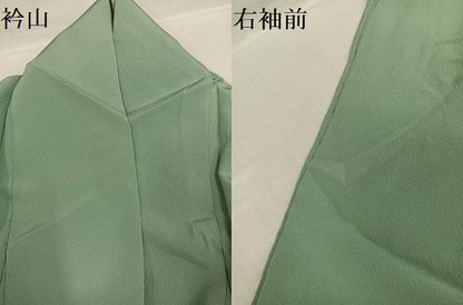 平和屋着物●清次郎　手描き　色無地　枝花文　山葵色　正絹　逸品　AABG9587ph