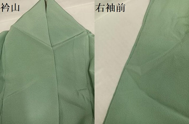 平和屋着物●清次郎　手描き　色無地　枝花文　山葵色　正絹　逸品　AABG9587ph