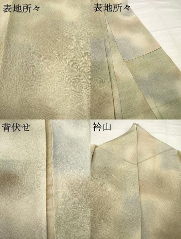 平和屋着物▽上質な小紋 単衣 鮫小紋柄 暈し染め 正絹 逸品 AABG9602ck