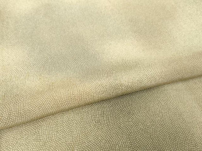 平和屋着物▽上質な小紋 単衣 鮫小紋柄 暈し染め 正絹 逸品 AABG9602ck