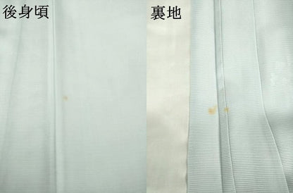 平和屋着物＊夏物 訪問着 絽 手描き 草花文 暈し染め ロング丈 正絹 逸品 未使用 AABG9650ck