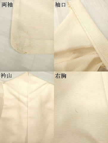 平和屋着物＊夏物 訪問着 絽 手描き 風景文 洗える着物 AABG9665ck