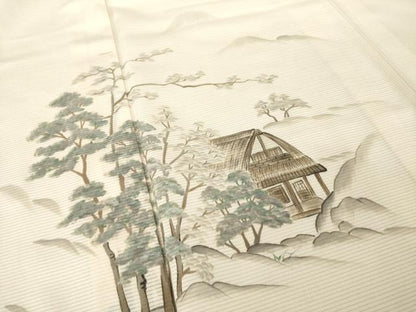 平和屋着物＊夏物 訪問着 絽 手描き 風景文 洗える着物 AABG9665ck