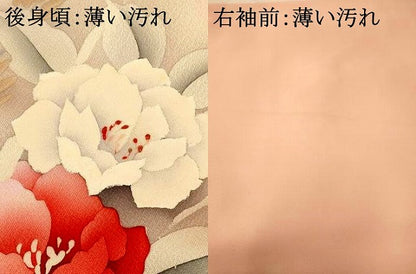平和屋着物■訪問着 手描き 草花文 暈し染め 正絹 逸品 AABG9694fw