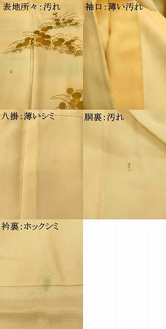 平和屋着物■訪問着 草花文 暈し染め 金彩 正絹 逸品 AABG9806fw