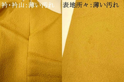 平和屋着物■江戸小紋 作家物 鮫小紋柄 正絹 逸品 AABG9840fw
