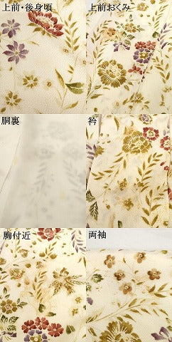 平和屋着物●上質な小紋　枝花文　鬼しぼ縮緬　松坂屋扱い　正絹　逸品　AABG9850cs