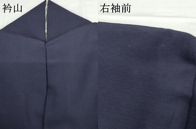 平和屋着物●お召　色留袖　寿光織　横段文　金糸　正絹　逸品　AABG9855cs