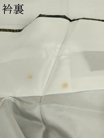 平和屋着物●本場大島紬　一元絣　枝花文　正絹　逸品　未使用　AABG9908cs