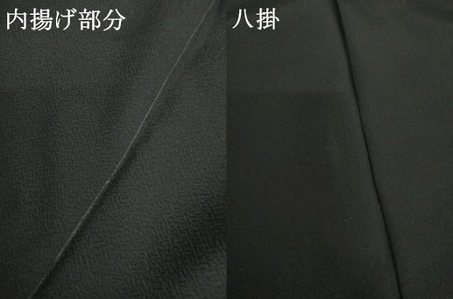 平和屋着物●訪問着　友禅　枝葉文　黒地　金彩　正絹　逸品　AABG9921cs