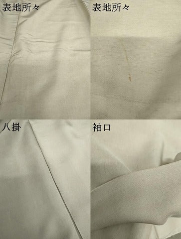 平和屋着物●紅型　訪問着　紬地　風景花文　正絹　逸品　AABG9922cs