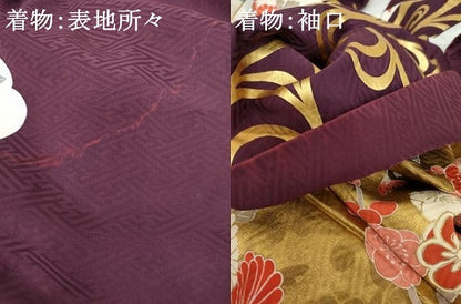 平和屋着物●豪華振袖・長襦袢(袷・半衿刺繍)セット　駒刺繍　雲取り流水枝花文　金彩　松坂屋扱い　正絹　逸品　AABG9973cs