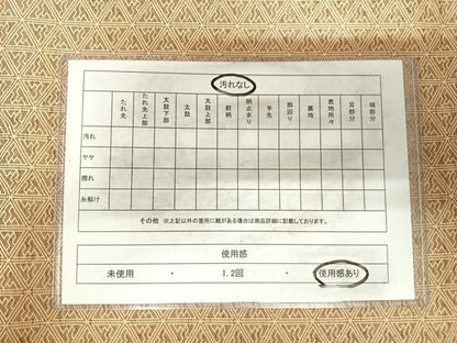 平和屋着物◎佐賀錦　太鼓柄袋帯　唐織　扇面風景文　金糸　正絹　逸品　AABH0126yx
