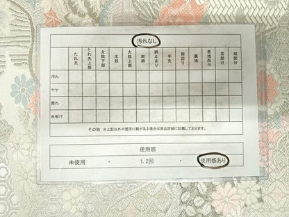 平和屋着物◎六通柄袋帯 唐織 風景文 プラチナ箔二重織 正絹 逸品 AABH0172yx