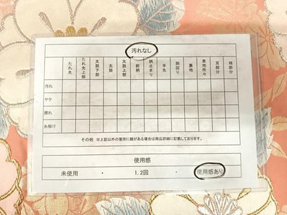 平和屋着物◎六通柄袋帯　唐織　草花文　金銀糸　正絹　逸品　AABH0180yx