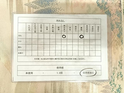 平和屋着物◎六通柄袋帯　名勝百景　金糸　正絹　逸品　AABH0229yx