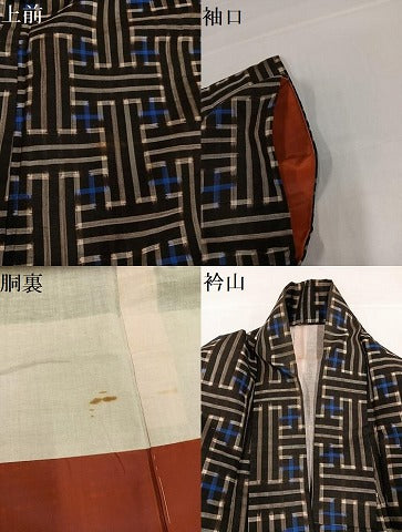 平和屋着物●本場大島紬　龍郷絣　秋名バラ　正絹　逸品　AABH0454ph