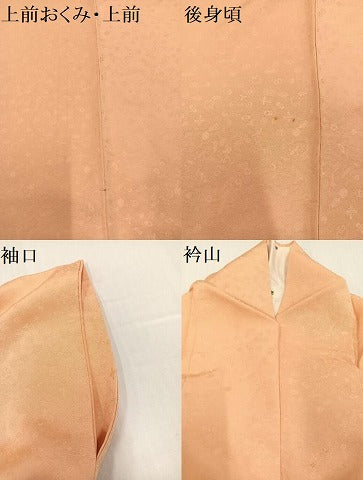 平和屋着物●上質な色無地　宝尽くし地紋　洒落柿色　正絹　逸品　AABH0460ph
