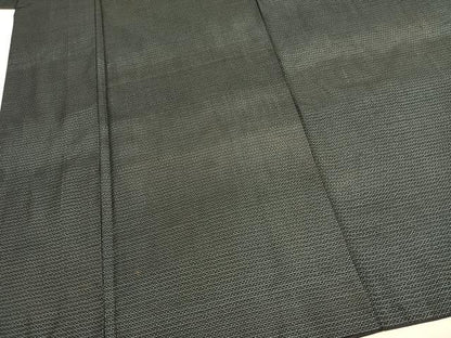 平和屋着物●男性　本場大島紬　アンサンブル　100亀甲　総詰め　正絹　逸品　AABH0555fy