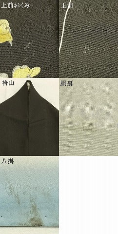 平和屋着物●訪問着　手描き　枝花文　黒地　正絹　逸品　AABH0570fy
