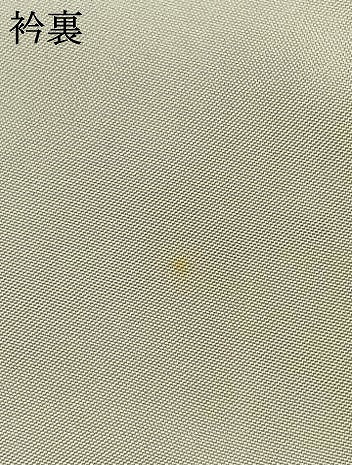 平和屋着物●訪問着　友禅　地紙花文　金糸　金彩　正絹　逸品　AABH0653fy