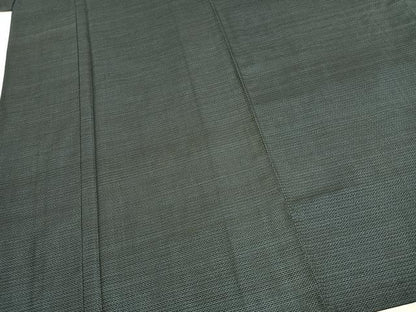 平和屋着物●男性　本場大島紬　アンサンブル　100亀甲　総詰め　キングサイズ　正絹　逸品　AABH0758fy