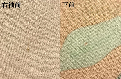 平和屋着物●上質な小紋　手描き　草花文　暈し染め　正絹　逸品　AABH0828fy