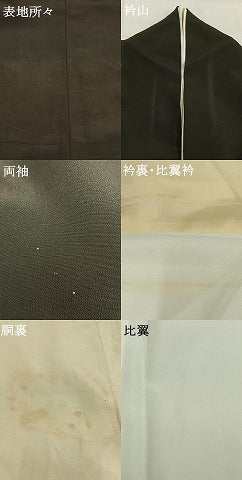 平和屋着物●創業130年　江戸染繍友禅　大彦　黒留袖　刺繍　風景文　金糸　金彩　高島屋扱い　正絹　逸品　AABH0829fy