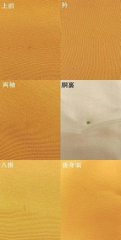 平和屋着物●豪華振袖　手描き　水玉　正絹　逸品　AABH0841fy
