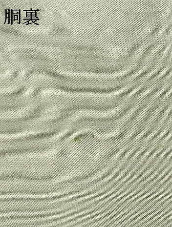 平和屋着物●結城ちぢみ　草花文　正絹　逸品　AABH0876fy