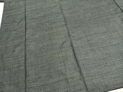 平和屋着物●男性　本場大島紬　アンサンブル　100亀甲　総詰め　正絹　逸品　AABH0902fy