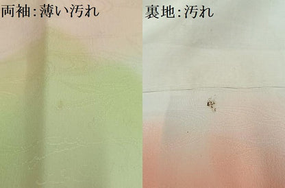 平和屋着物■長襦袢 袷 霞文 暈し染め 洗える着物 AABH0925oa
