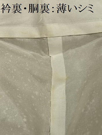 平和屋着物■訪問着 枝花文 たたき染め 金彩 正絹 逸品 AABH0981oa