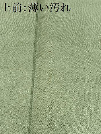 平和屋着物■上質な小紋　作家物　草花文　金彩　正絹　逸品　未使用　AABH0986oa