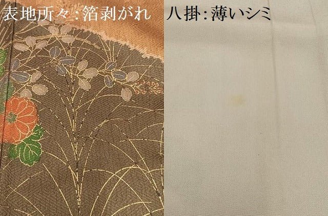 平和屋着物■訪問着 枝花文 金彩 正絹 逸品 AABH0994oa