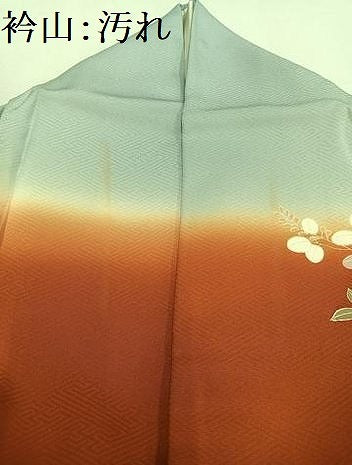 平和屋着物■訪問着 流水草花文 暈し染め 金彩 正絹 逸品 AABH1003oa