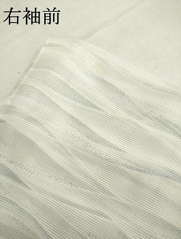 平和屋着物＊夏物 小紋 絽 波文 洗える着物 AABH1927ck