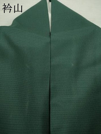 平和屋着物＊夏物 訪問着 絽 地紙花文 般若 金銀彩 洗える着物 AABH1929ck
